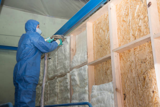 Best Attic Insulation Installation  in Viroqua, WI